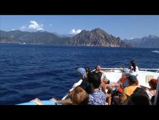 Corse: le tourisme menace la réserve naturelle de Scandola (1/2)