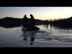 In South Africa, invasive carps, salvation of the poorest in times of Covid