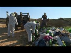 Israel rushes to clean up beaches after massive oil spill