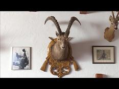 REFILE: Waves in Switzerland around ibex hunting safaris