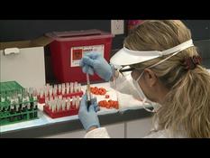 COVID-19 vaccine trials underway in Florida