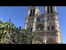 Our Lady of Paris: a heritage in danger