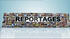 Reports: [broadcast of April 14, 2012]