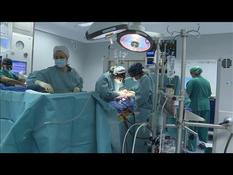 Spain takes up the challenge of organ transplants despite Covid