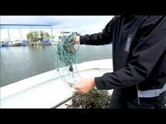 In the Baltic Sea, hunting "ghost" fishing nets