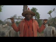 Fulani in Nigeria: the land war