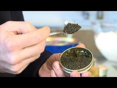 Aquitaine, the stronghold of French caviar, focuses on quality
