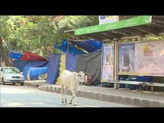 Coronavirus: deserted streets in the capital of confined India