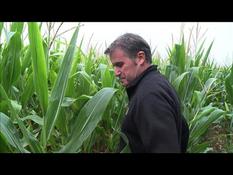 ARCHIVES Farmer Paul François Case: Monsanto/Bayer Convicted