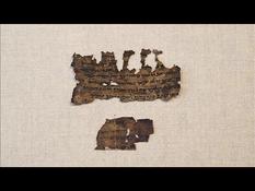 DNA sheds light on part of Dead Sea Scrolls' secret