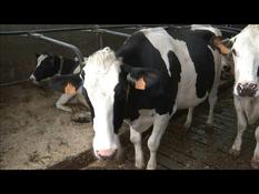 Biogas, a new market for French farmers