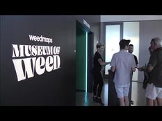 USA: in California, an ephemeral cannabis museum
