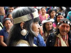 Indigenous people from Ecuador protest in Quito to demand protection of the Amazon