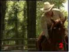 "The Man Who Whispered in the Ear of Horses", a film by Robert Redford