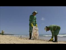 Clean-up operation on Brazilian beaches polluted with oil