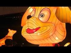 Sydney celebrates Chinese New Year with a lantern festival