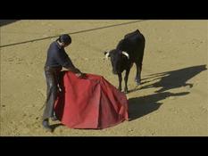 Bullfighters resume training without bullfighting on the horizon