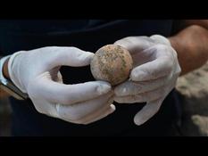 A 1,000-year-old intact chicken egg discovered during excavations in Israel